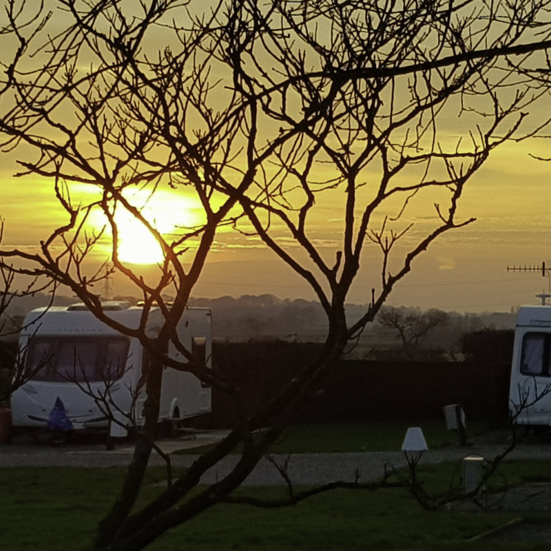 Willow Grove Gallery